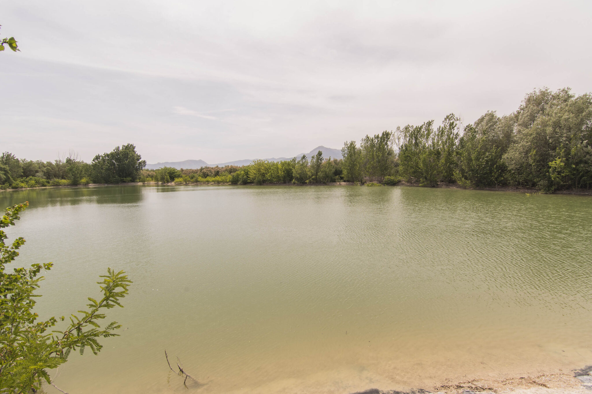 Paraje Natural Laguna Grande Baeza Turismo de Baeza