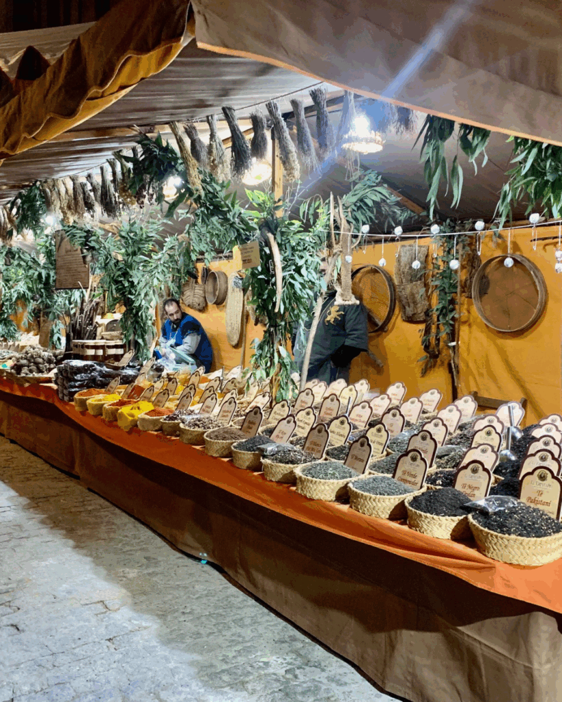 Turismo Baeza - Baeza en fiestas: devoción y cultura en honor a San Andrés